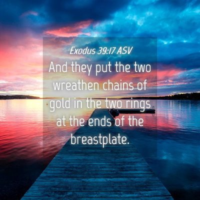 Picture 04 - Exodus 39:17 ASV - And they put the two wreathen chains of gold in - Bible Verse Picture
