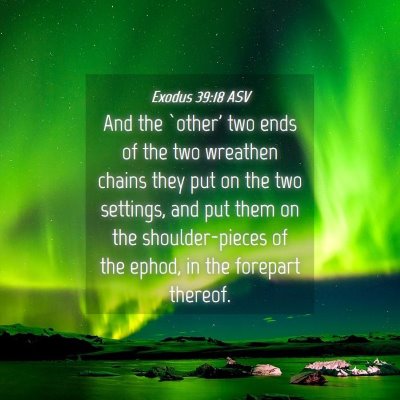 Picture 04 - Exodus 39:18 ASV - And the `other' two ends of the two wreathen - Bible Verse Picture