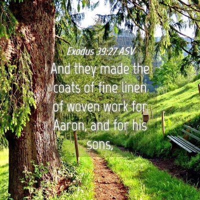 Picture 04 - Exodus 39:27 ASV - And they made the coats of fine linen of woven - Bible Verse Picture
