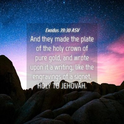 Picture 04 - Exodus 39:30 ASV - And they made the plate of the holy crown of pure - Bible Verse Picture