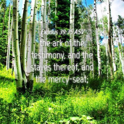 Picture 04 - Exodus 39:35 ASV - the ark of the testimony, and the staves thereof, - Bible Verse Picture