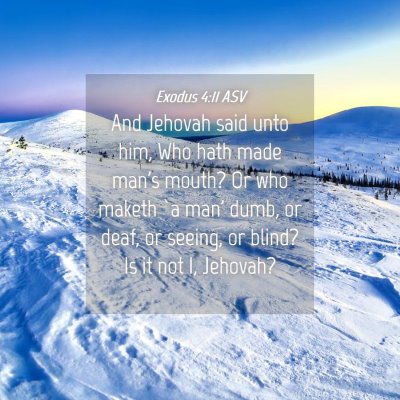 Picture 04 - Exodus 4:11 ASV - And Jehovah said unto him, Who hath made man's - Bible Verse Picture