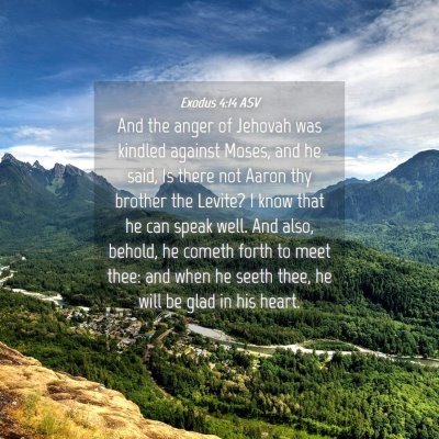 Picture 04 - Exodus 4:14 ASV - And the anger of Jehovah was kindled against - Bible Verse Picture
