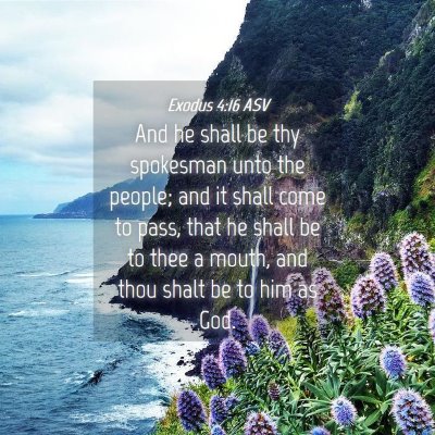 Picture 04 - Exodus 4:16 ASV - And he shall be thy spokesman unto the people; - Bible Verse Picture