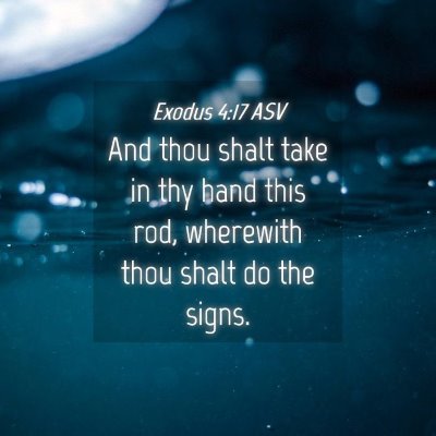 Picture 04 - Exodus 4:17 ASV - And thou shalt take in thy hand this rod, - Bible Verse Picture