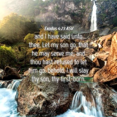 Picture 04 - Exodus 4:23 ASV - and I have said unto thee, Let my son go, that he - Bible Verse Picture