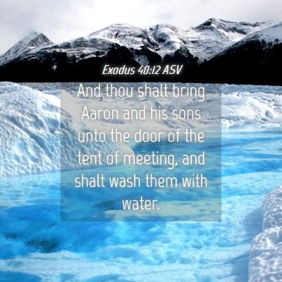 Picture 04 - Exodus 40:12 ASV - And thou shalt bring Aaron and his sons unto the - Bible Verse Picture