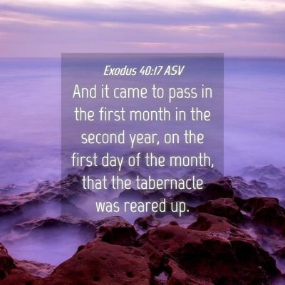 Picture 04 - Exodus 40:17 ASV - And it came to pass in the first month in the - Bible Verse Picture