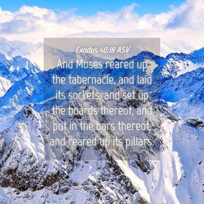 Picture 04 - Exodus 40:18 ASV - And Moses reared up the tabernacle, and laid its - Bible Verse Picture
