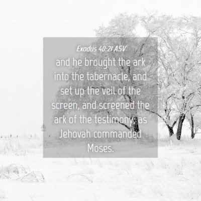 Picture 04 - Exodus 40:21 ASV - and he brought the ark into the tabernacle, and - Bible Verse Picture