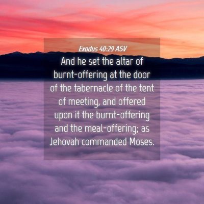 Picture 04 - Exodus 40:29 ASV - And he set the altar of burnt-offering at the - Bible Verse Picture