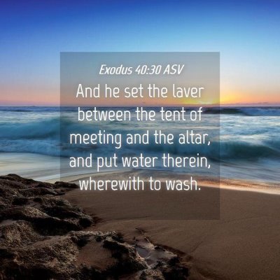 Picture 04 - Exodus 40:30 ASV - And he set the laver between the tent of meeting - Bible Verse Picture