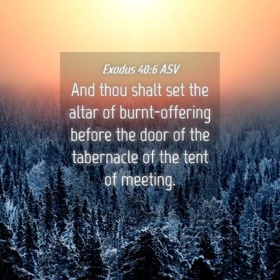 Picture 04 - Exodus 40:6 ASV - And thou shalt set the altar of burnt-offering - Bible Verse Picture
