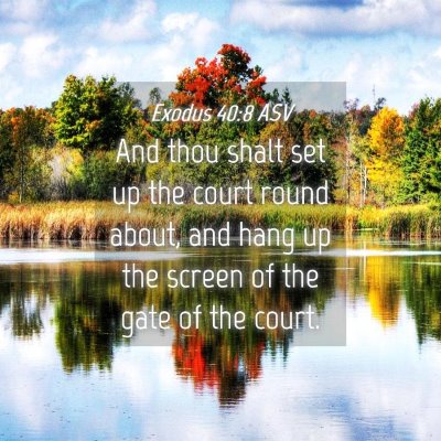 Picture 04 - Exodus 40:8 ASV - And thou shalt set up the court round about, and - Bible Verse Picture
