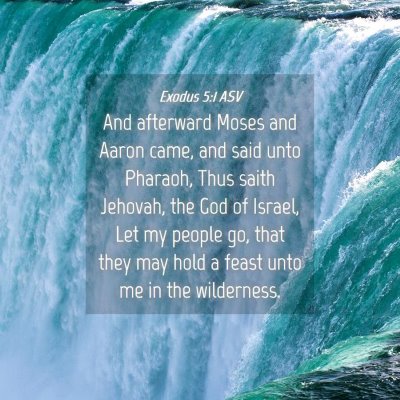 Picture 04 - Exodus 5:1 ASV - And afterward Moses and Aaron came, and said unto - Bible Verse Picture