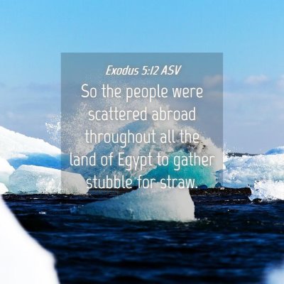 Picture 04 - Exodus 5:12 ASV - So the people were scattered abroad throughout - Bible Verse Picture