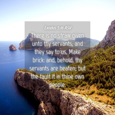 Picture 04 - Exodus 5:16 ASV - There is no straw given unto thy servants, and - Bible Verse Picture