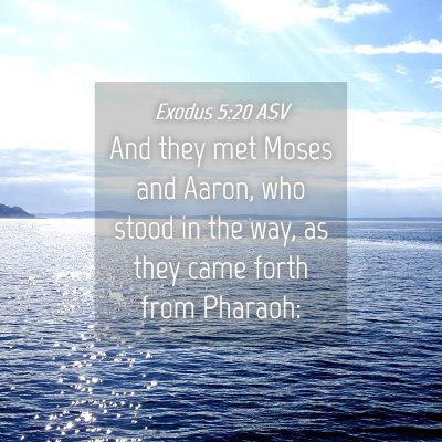 Picture 04 - Exodus 5:20 ASV - And they met Moses and Aaron, who stood in the - Bible Verse Picture