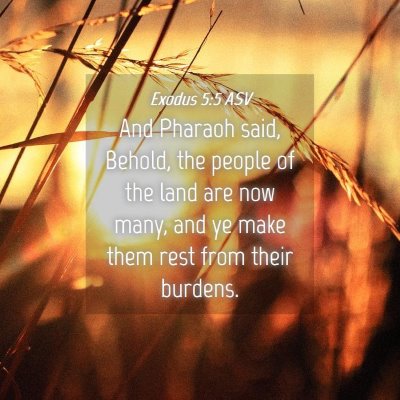 Picture 04 - Exodus 5:5 ASV - And Pharaoh said, Behold, the people of the land - Bible Verse Picture