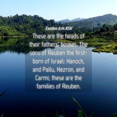 Picture 04 - Exodus 6:14 ASV - These are the heads of their fathers' houses. The - Bible Verse Picture