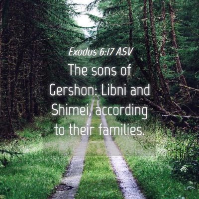 Picture 04 - Exodus 6:17 ASV - The sons of Gershon: Libni and Shimei, according - Bible Verse Picture