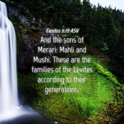 Picture 04 - Exodus 6:19 ASV - And the sons of Merari: Mahli and Mushi. These - Bible Verse Picture
