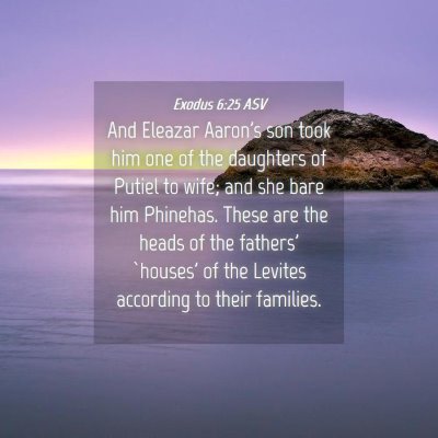 Picture 04 - Exodus 6:25 ASV - And Eleazar Aaron's son took him one of the - Bible Verse Picture