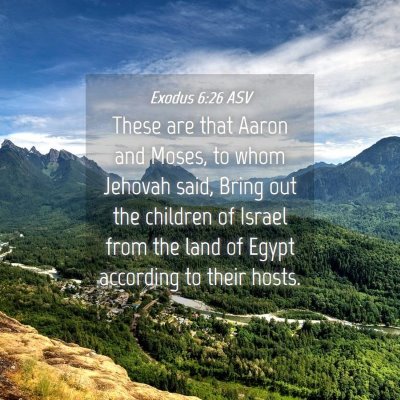 Picture 04 - Exodus 6:26 ASV - These are that Aaron and Moses, to whom Jehovah - Bible Verse Picture
