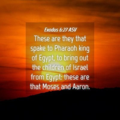 Picture 04 - Exodus 6:27 ASV - These are they that spake to Pharaoh king of - Bible Verse Picture