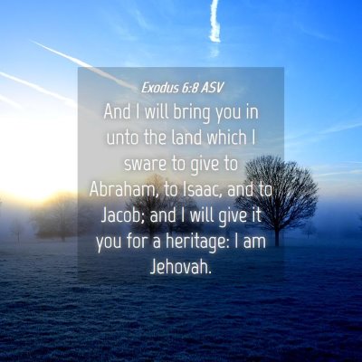Picture 04 - Exodus 6:8 ASV - And I will bring you in unto the land which I - Bible Verse Picture