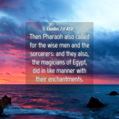 Picture 04 - Exodus 7:11 ASV - Then Pharaoh also called for the wise men and the - Bible Verse Picture
