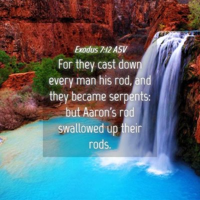 Picture 04 - Exodus 7:12 ASV - For they cast down every man his rod, and they - Bible Verse Picture