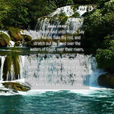 Picture 04 - Exodus 7:19 ASV - And Jehovah said unto Moses, Say unto Aaron, Take - Bible Verse Picture