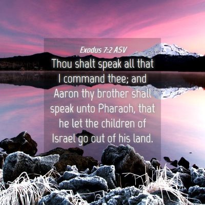 Picture 04 - Exodus 7:2 ASV - Thou shalt speak all that I command thee; and - Bible Verse Picture