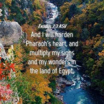Picture 04 - Exodus 7:3 ASV - And I will harden Pharaoh's heart, and multiply - Bible Verse Picture
