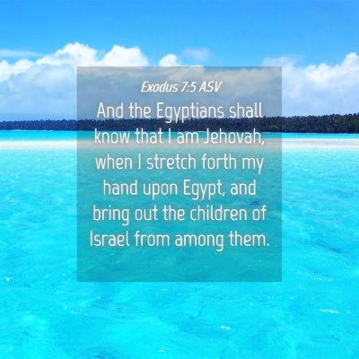 Picture 04 - Exodus 7:5 ASV - And the Egyptians shall know that I am Jehovah, - Bible Verse Picture