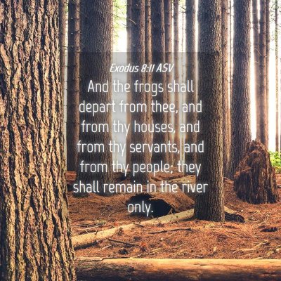 Picture 04 - Exodus 8:11 ASV - And the frogs shall depart from thee, and from - Bible Verse Picture
