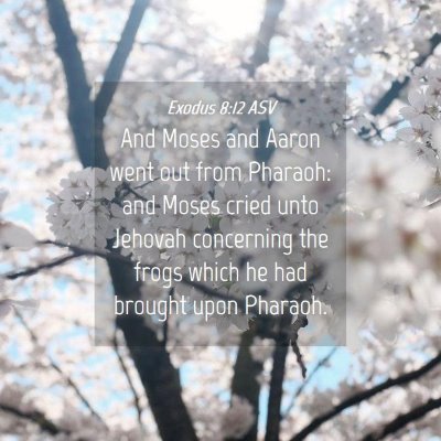 Picture 04 - Exodus 8:12 ASV - And Moses and Aaron went out from Pharaoh: and - Bible Verse Picture