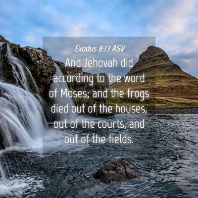 Picture 04 - Exodus 8:13 ASV - And Jehovah did according to the word of Moses; - Bible Verse Picture