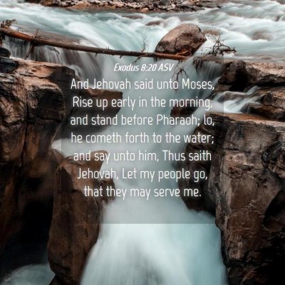 Picture 04 - Exodus 8:20 ASV - And Jehovah said unto Moses, Rise up early in the - Bible Verse Picture