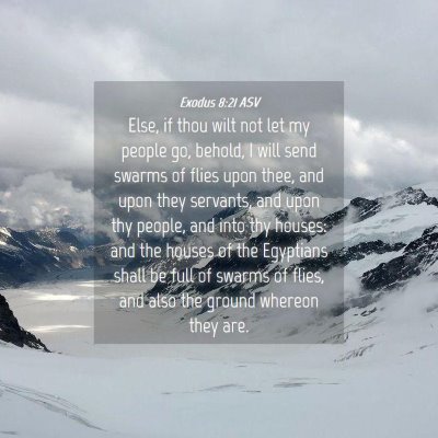 Picture 04 - Exodus 8:21 ASV - Else, if thou wilt not let my people go, behold, - Bible Verse Picture