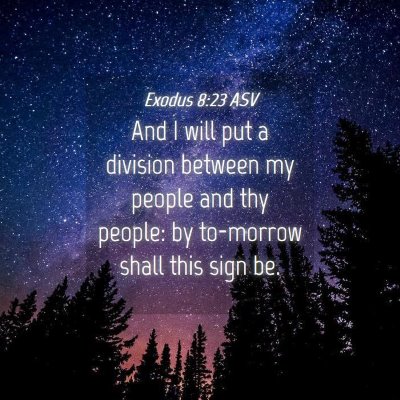 Picture 04 - Exodus 8:23 ASV - And I will put a division between my people and - Bible Verse Picture