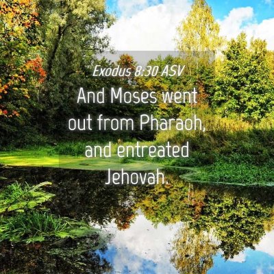 Picture 04 - Exodus 8:30 ASV - And Moses went out from Pharaoh, and entreated - Bible Verse Picture