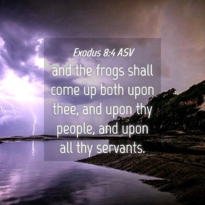 Picture 04 - Exodus 8:4 ASV - and the frogs shall come up both upon thee, and - Bible Verse Picture