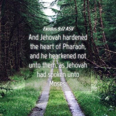 Picture 04 - Exodus 9:12 ASV - And Jehovah hardened the heart of Pharaoh, and he - Bible Verse Picture