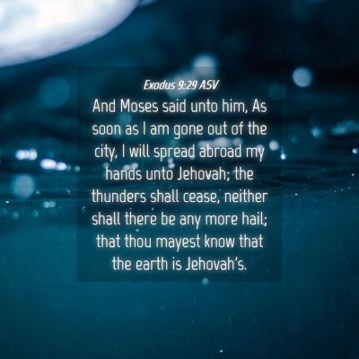 Picture 04 - Exodus 9:29 ASV - And Moses said unto him, As soon as I am gone out - Bible Verse Picture