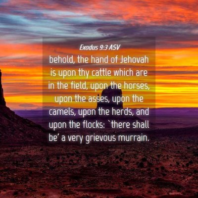 Picture 04 - Exodus 9:3 ASV - behold, the hand of Jehovah is upon thy cattle - Bible Verse Picture