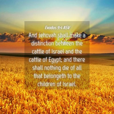 Picture 04 - Exodus 9:4 ASV - And Jehovah shall make a distinction between the - Bible Verse Picture