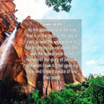 Picture 04 - Ezekiel 1:28 ASV - As the appearance of the bow that is in the cloud - Bible Verse Picture