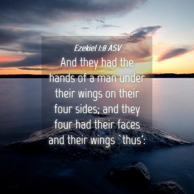 Picture 04 - Ezekiel 1:8 ASV - And they had the hands of a man under their wings - Bible Verse Picture